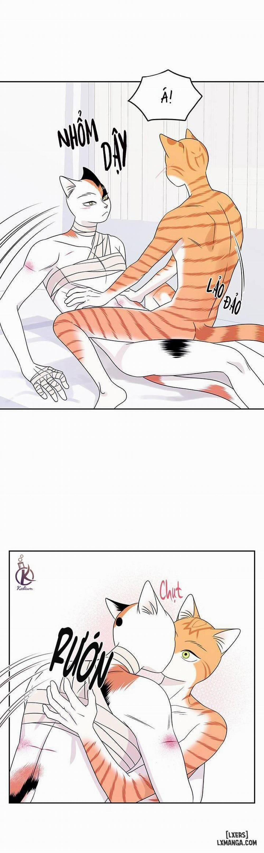 Dự án xanh 23 trang 2