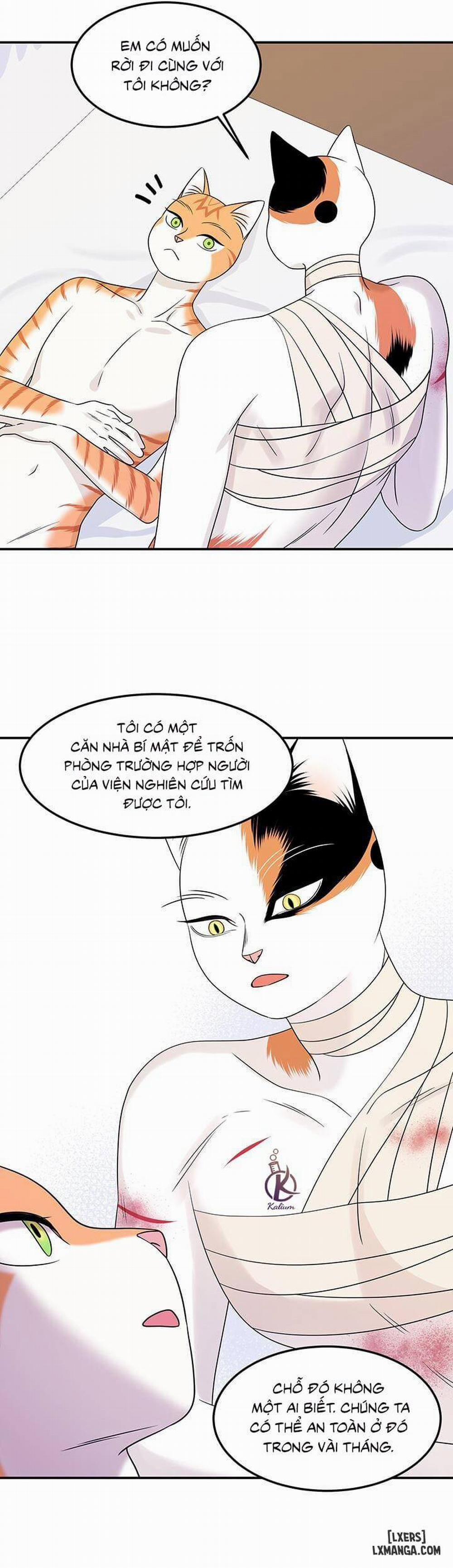 Dự án xanh 23 trang 20