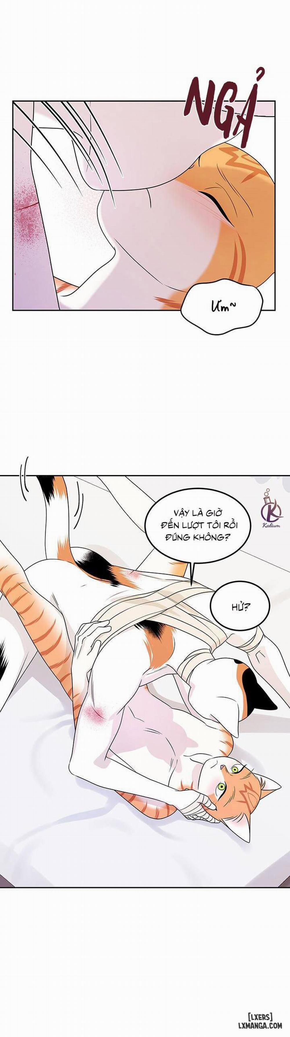 Dự án xanh 23 trang 3