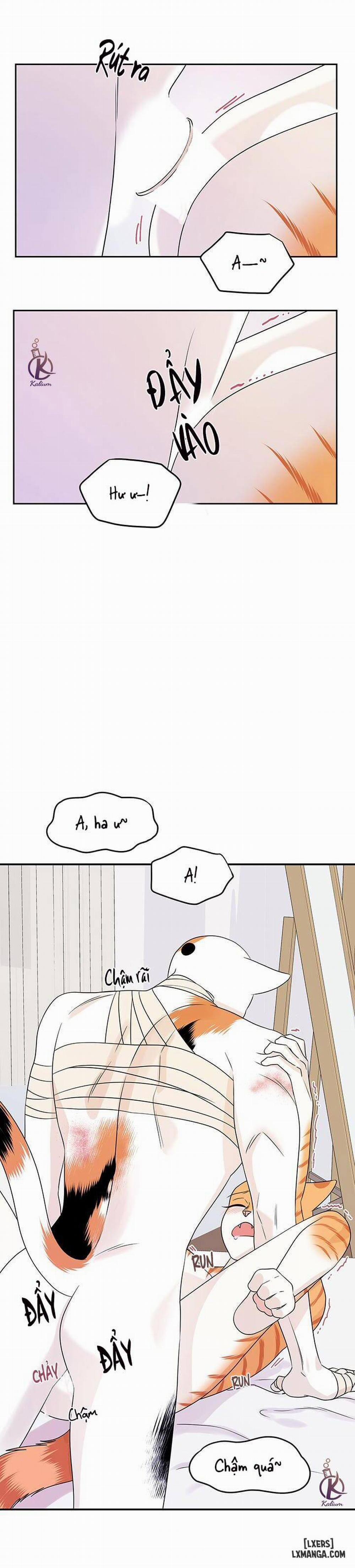 Dự án xanh 23 trang 4