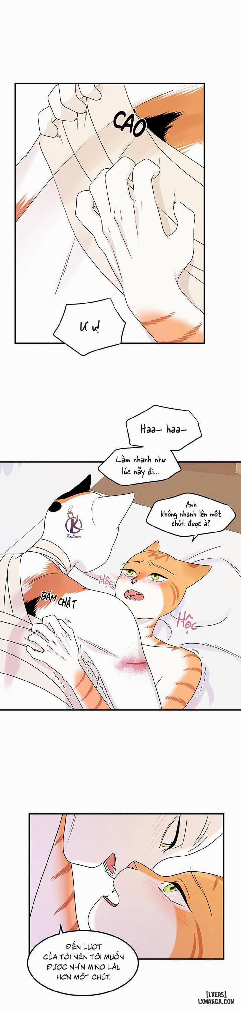 Dự án xanh 23 trang 5