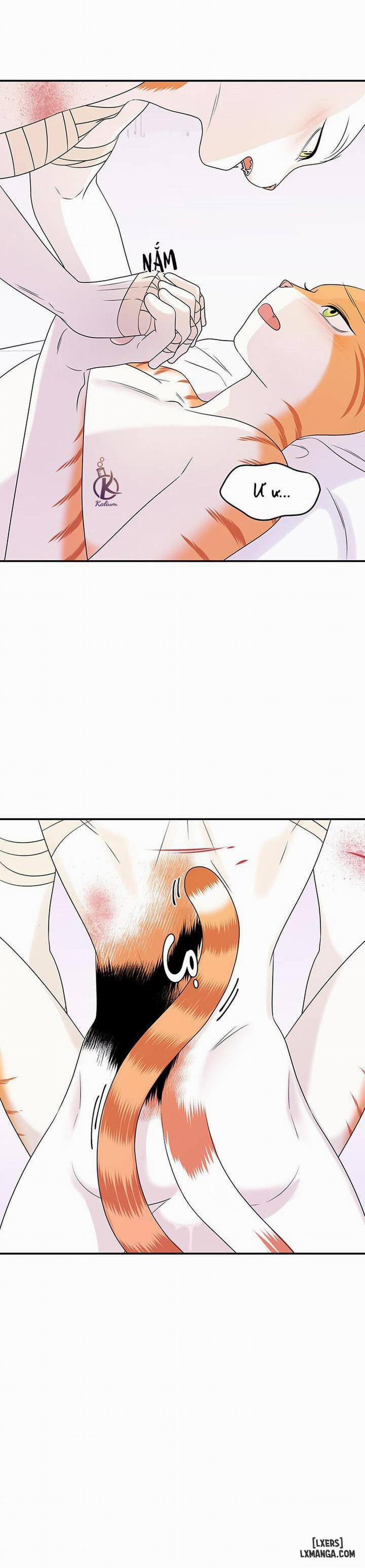 Dự án xanh 23 trang 7