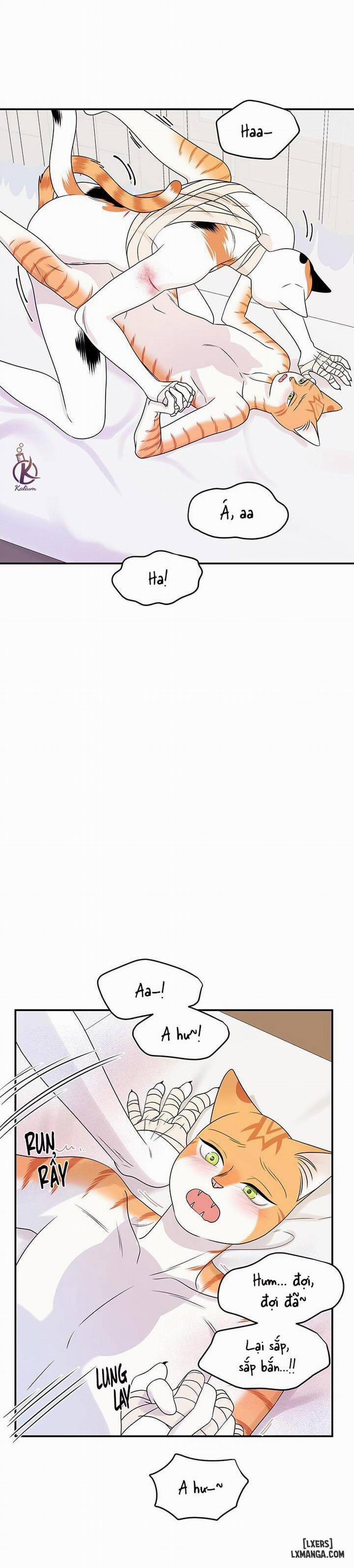 Dự án xanh 23 trang 8