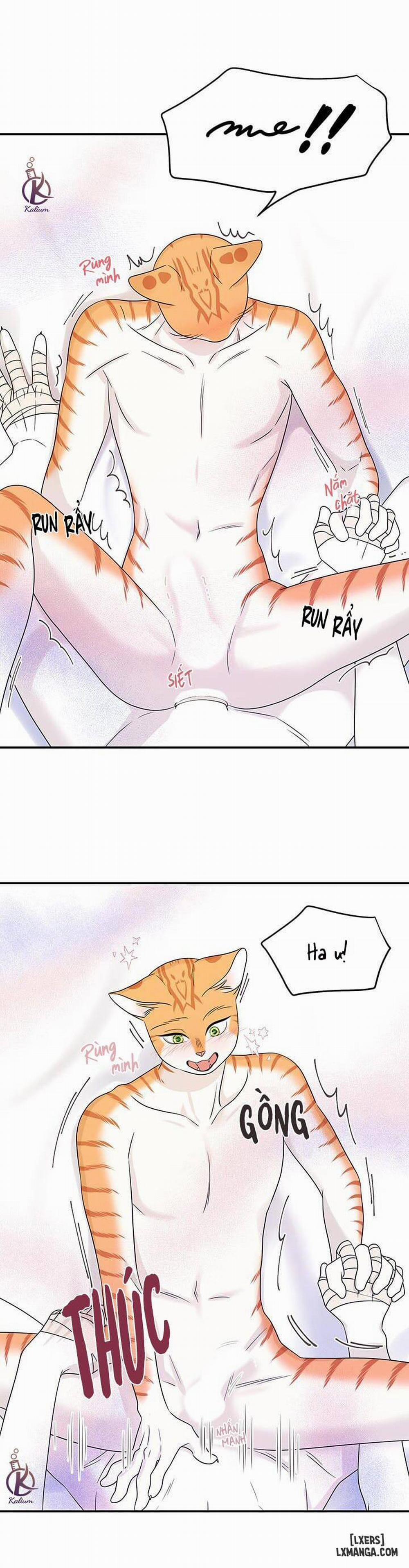 Dự án xanh 23 trang 9