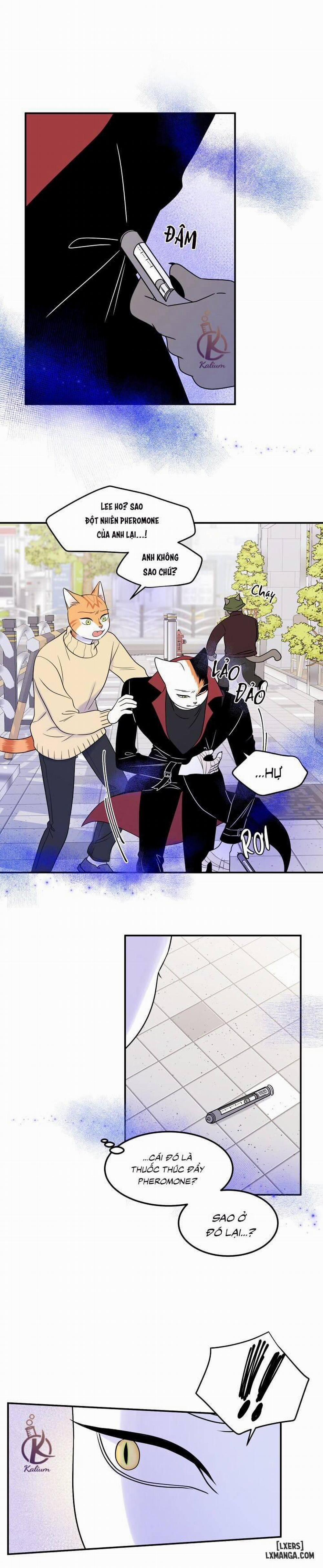 Dự án xanh 24 trang 1