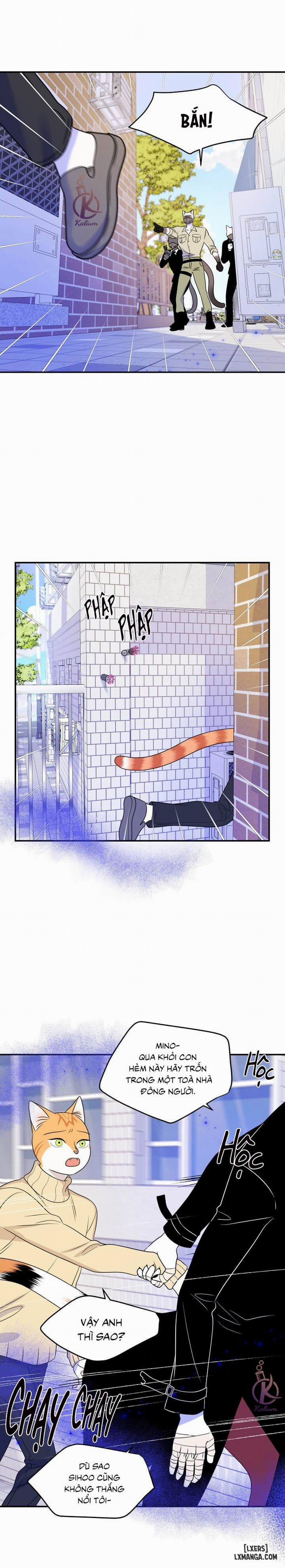 Dự án xanh 24 trang 10