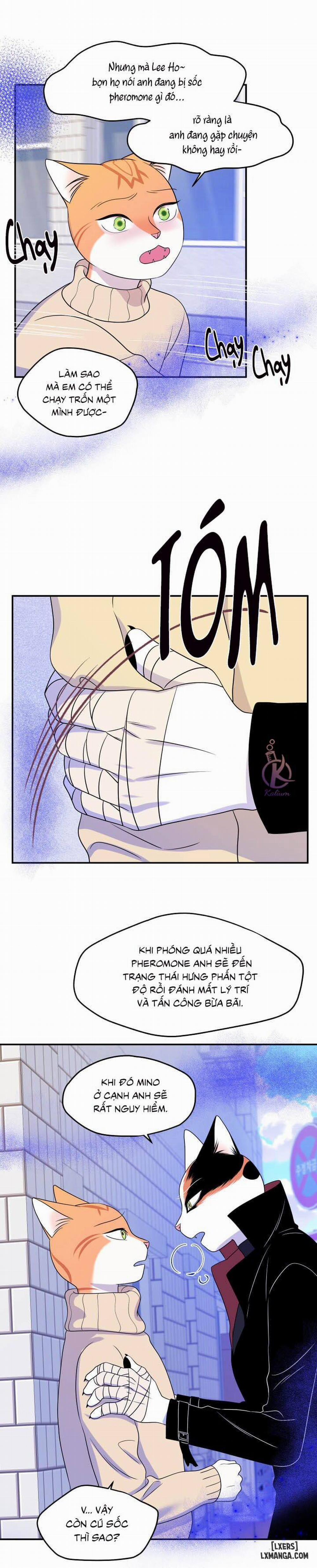 Dự án xanh 24 trang 11