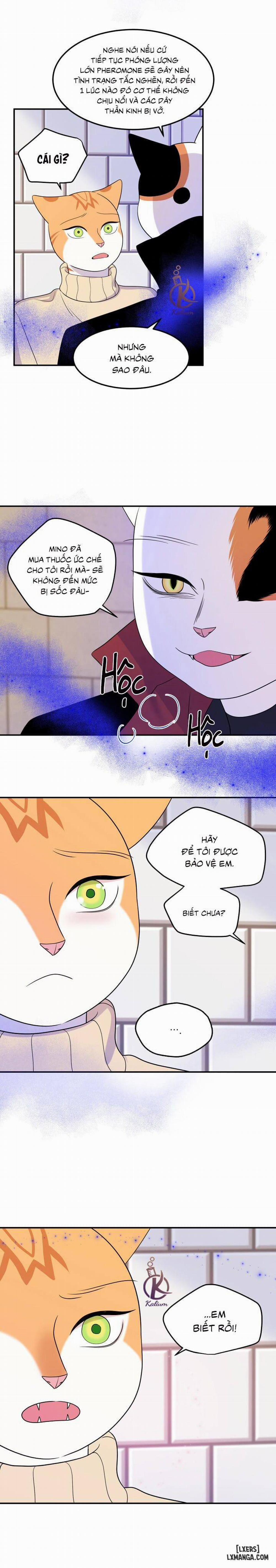 Dự án xanh 24 trang 12