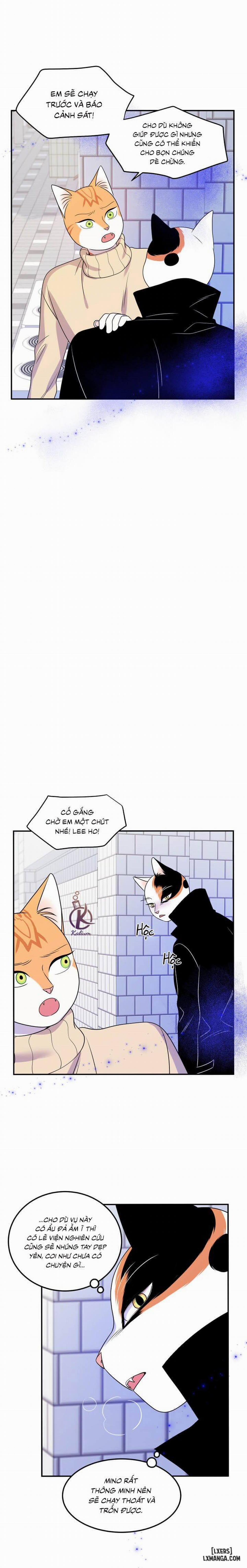 Dự án xanh 24 trang 13