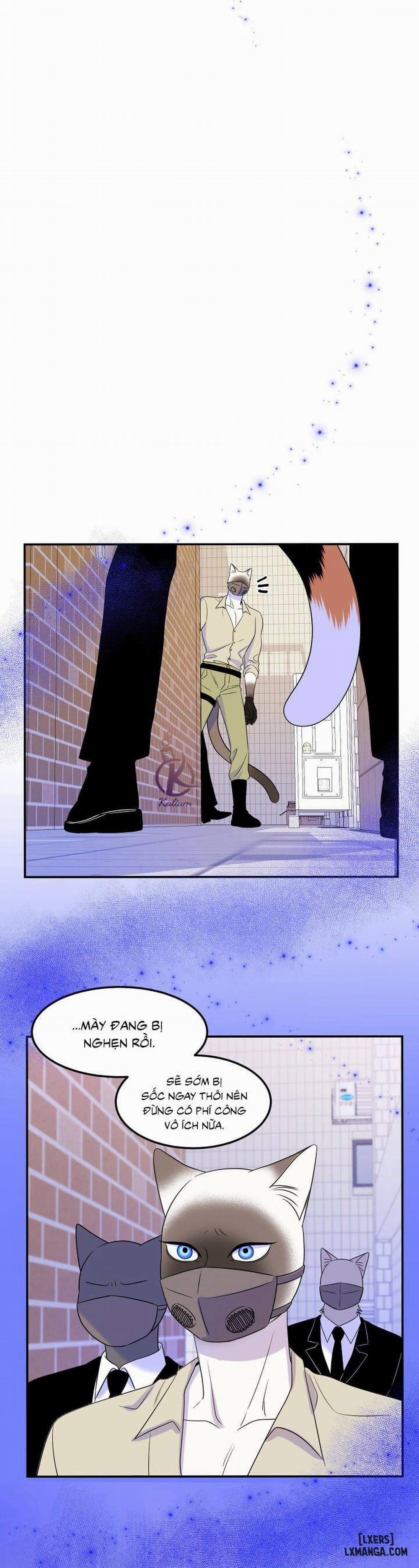 Dự án xanh 24 trang 14