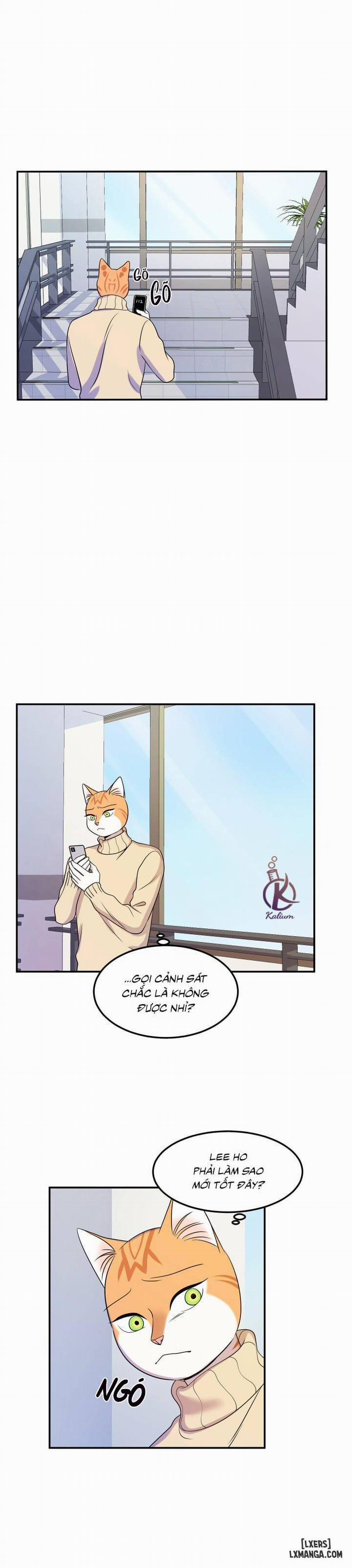 Dự án xanh 24 trang 17