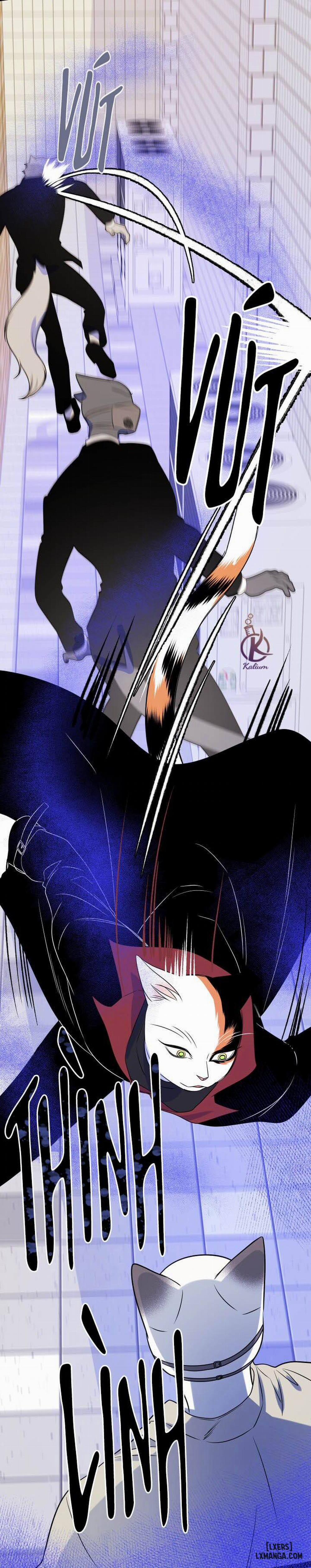 Dự án xanh 24 trang 19