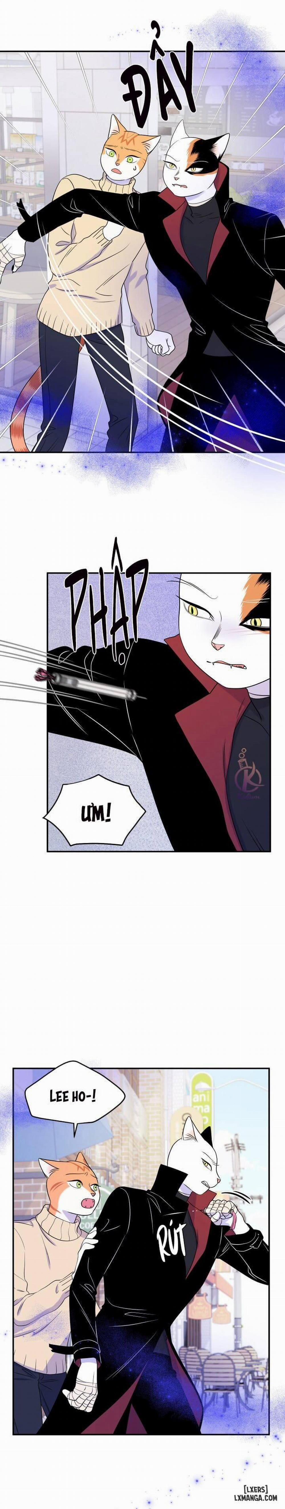 Dự án xanh 24 trang 2