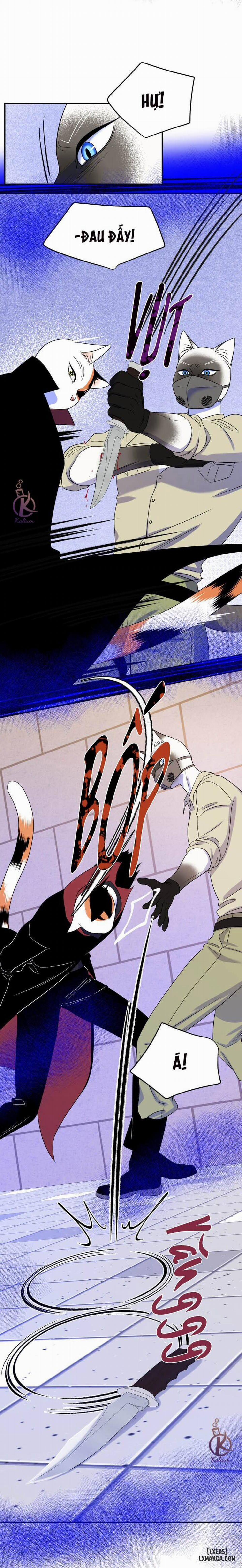 Dự án xanh 24 trang 21