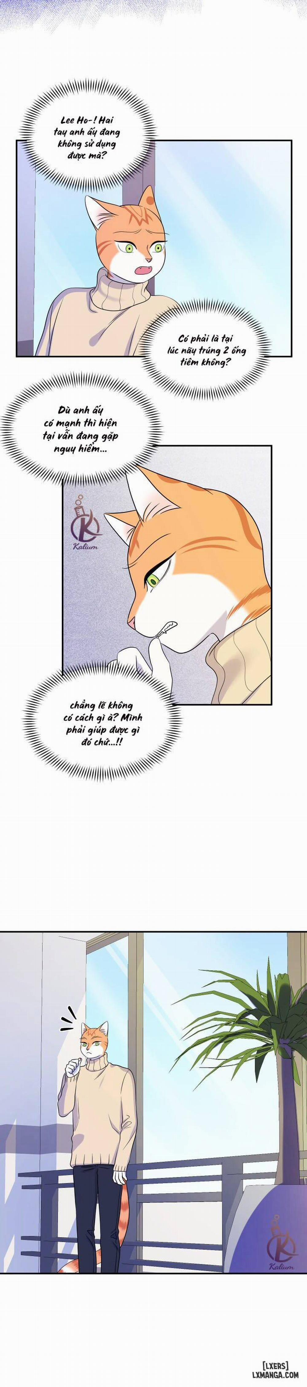 Dự án xanh 24 trang 22