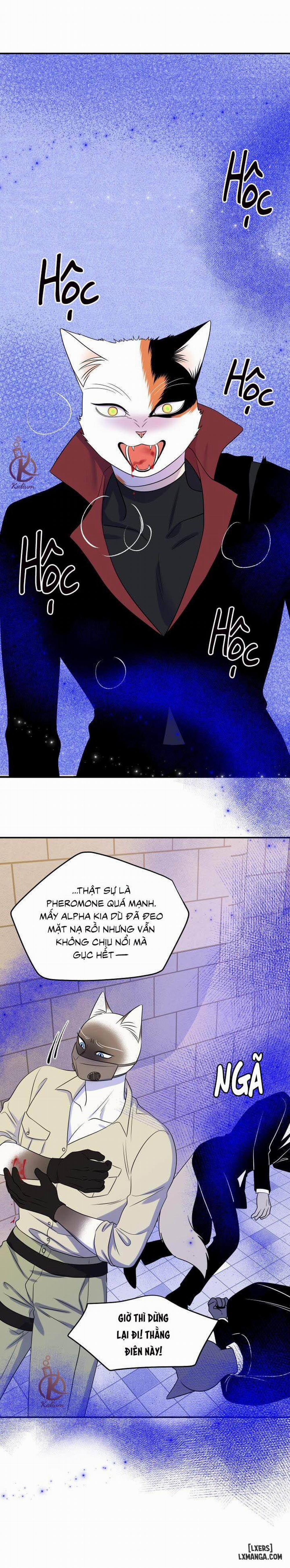 Dự án xanh 24 trang 23