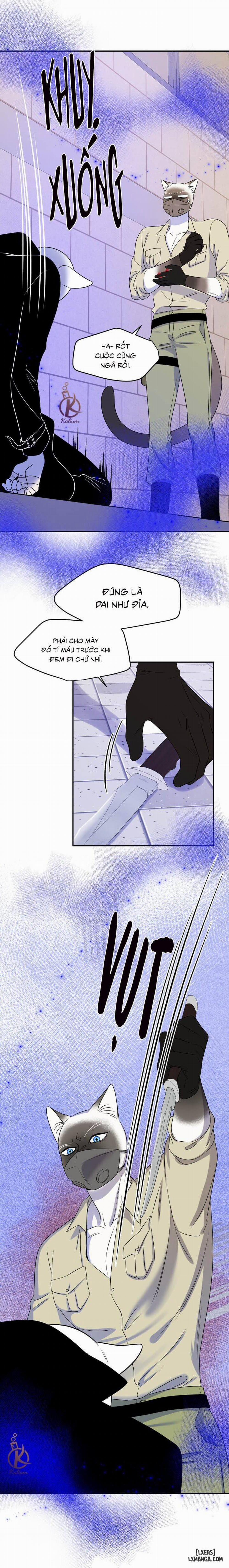 Dự án xanh 24 trang 26