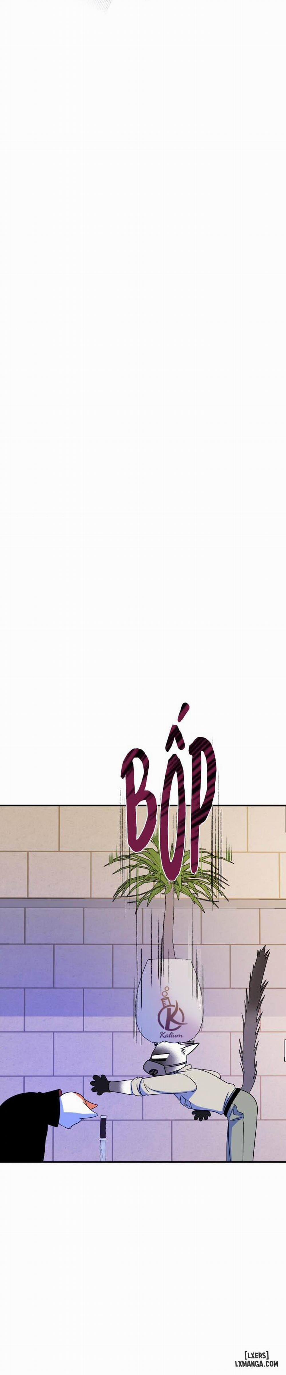 Dự án xanh 24 trang 27