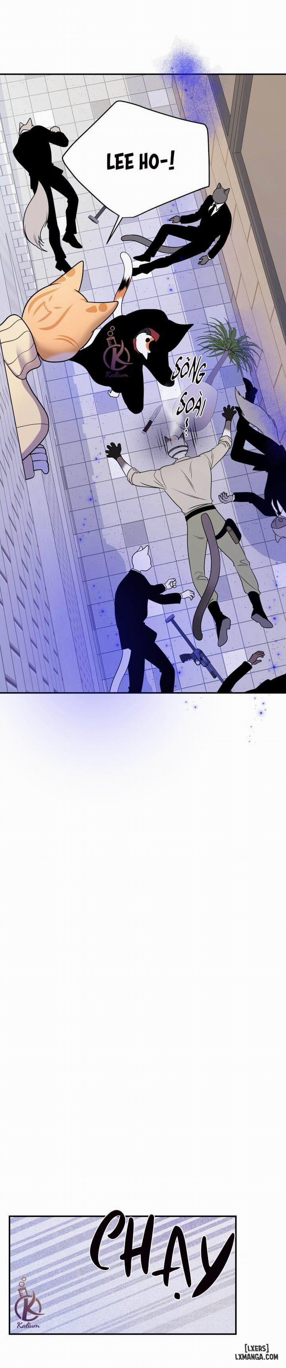 Dự án xanh 24 trang 28