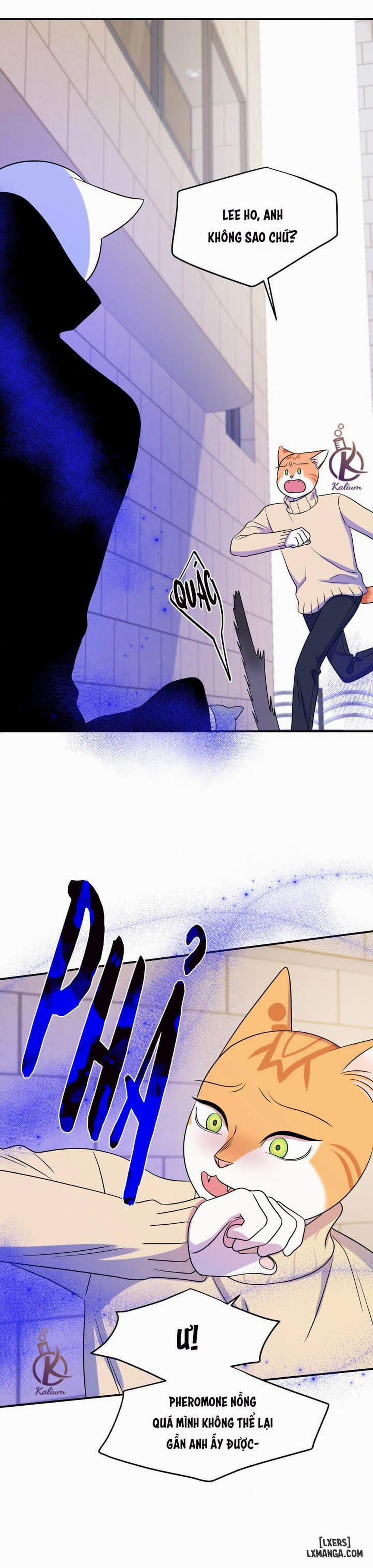 Dự án xanh 24 trang 29