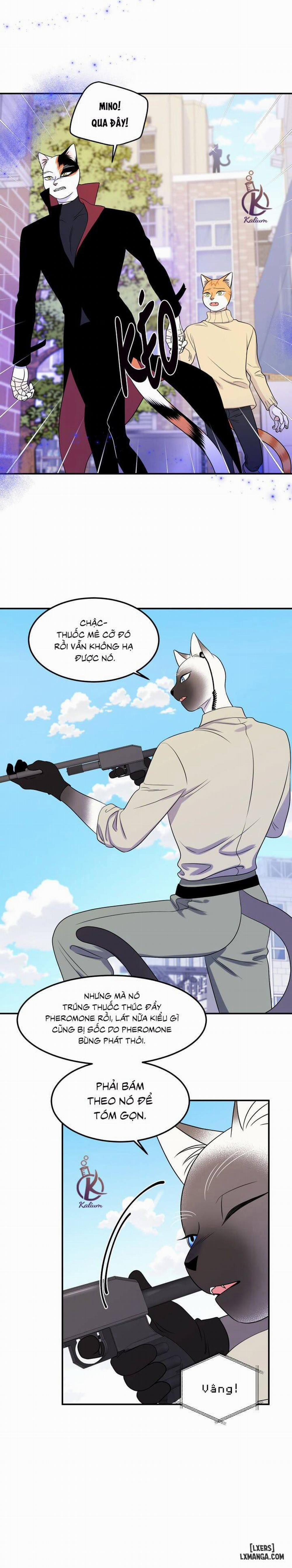 Dự án xanh 24 trang 3