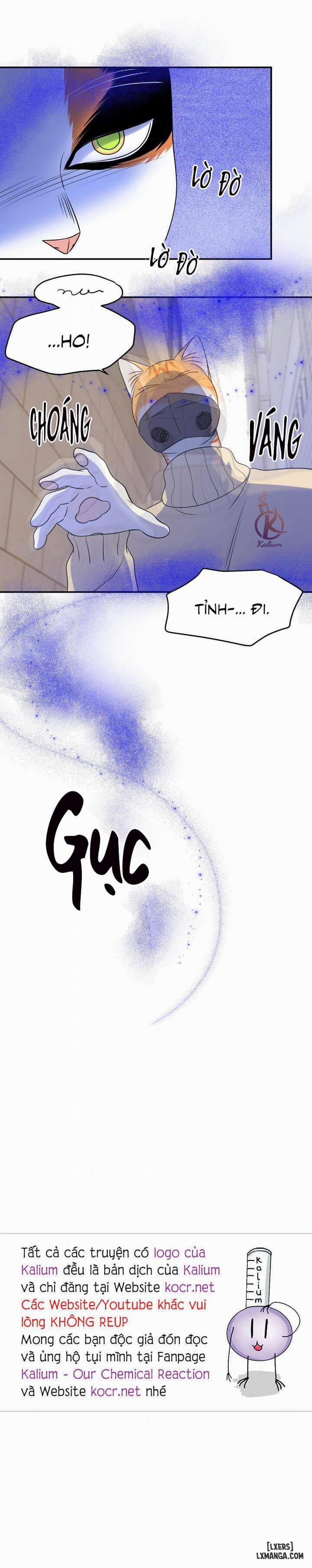 Dự án xanh 24 trang 31