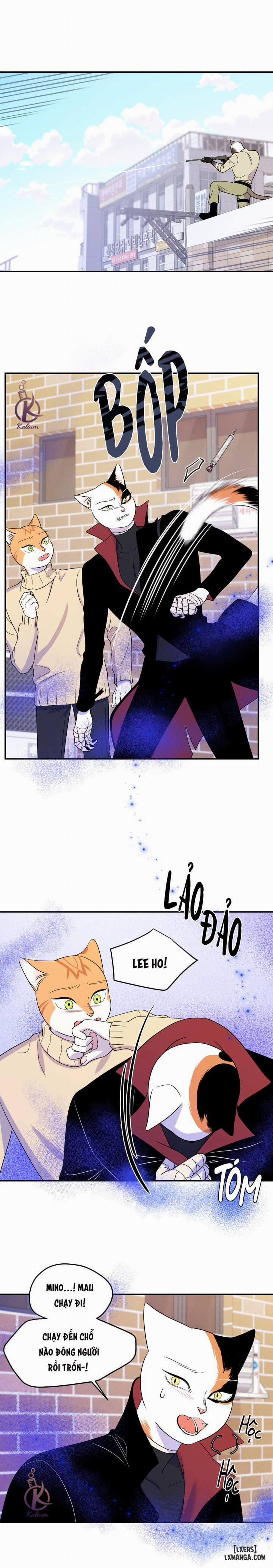 Dự án xanh 24 trang 4