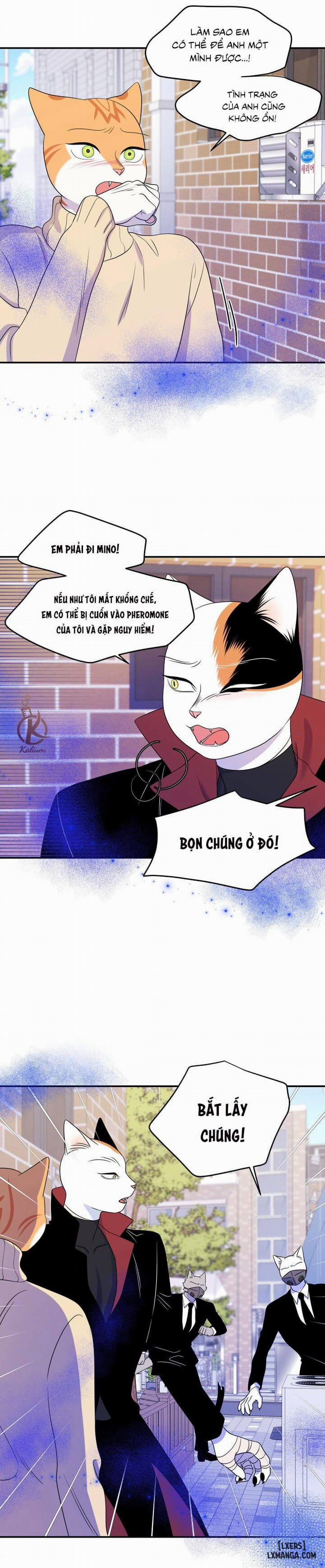 Dự án xanh 24 trang 5