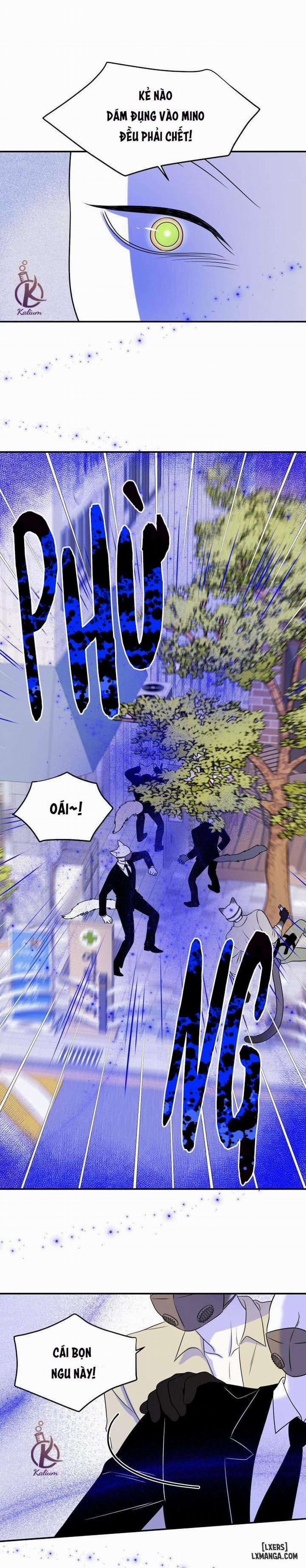 Dự án xanh 24 trang 7