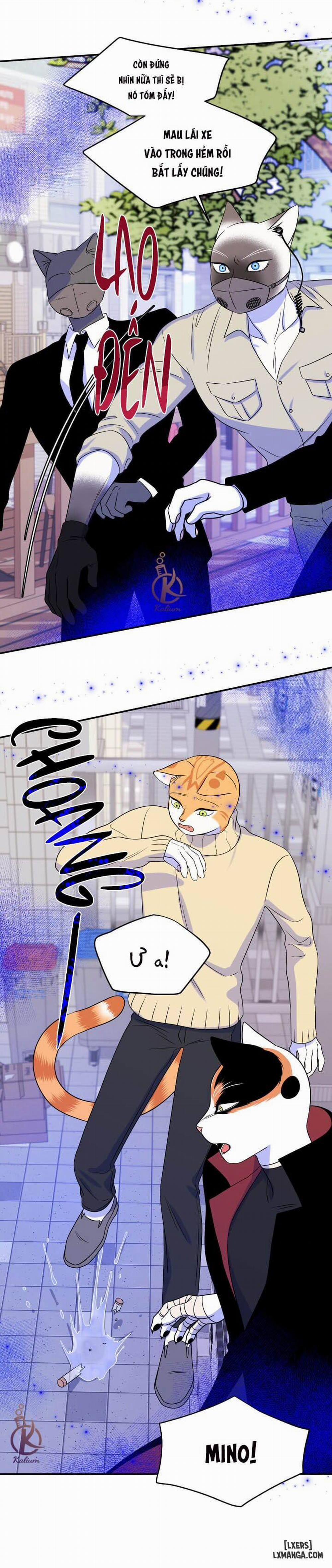 Dự án xanh 24 trang 8