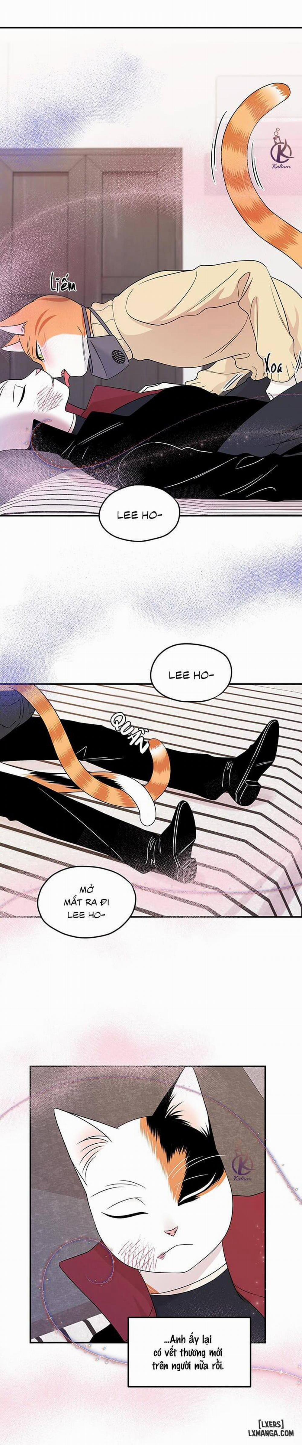 Dự án xanh 25 0 Hết phần 1 trang 11