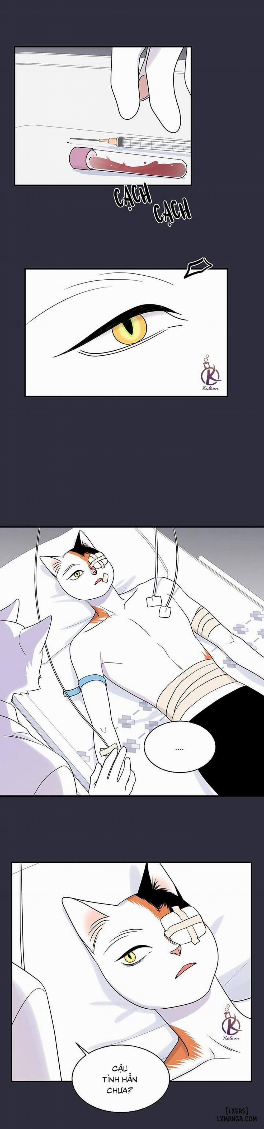 Dự án xanh 25 0 Hết phần 1 trang 14