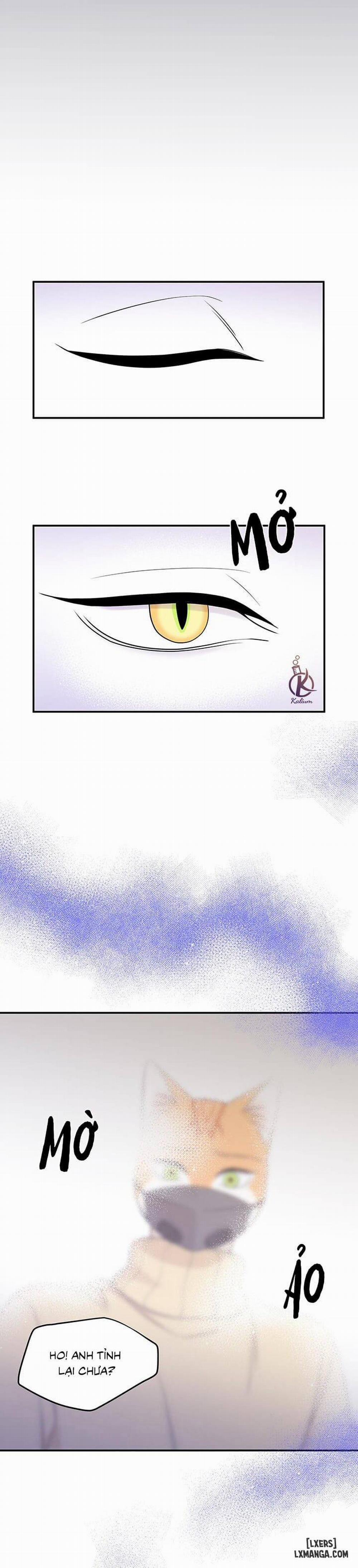 Dự án xanh 25 0 Hết phần 1 trang 18