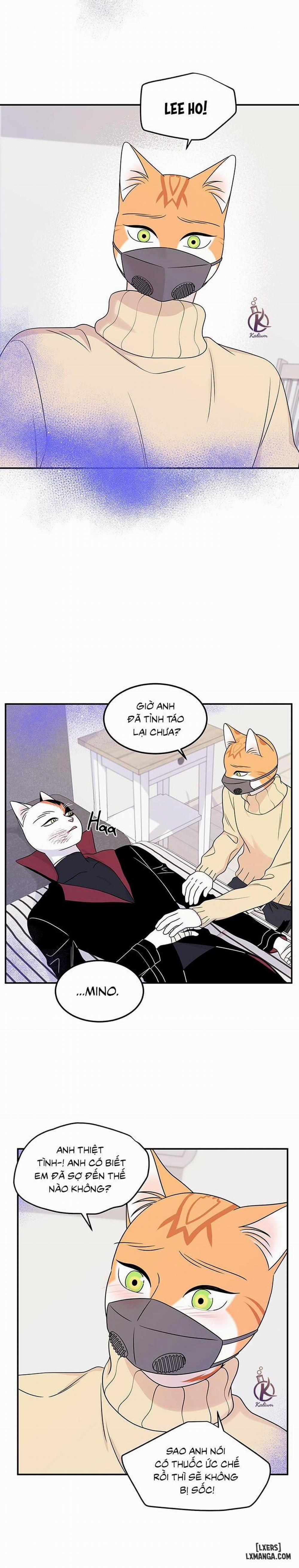 Dự án xanh 25 0 Hết phần 1 trang 19