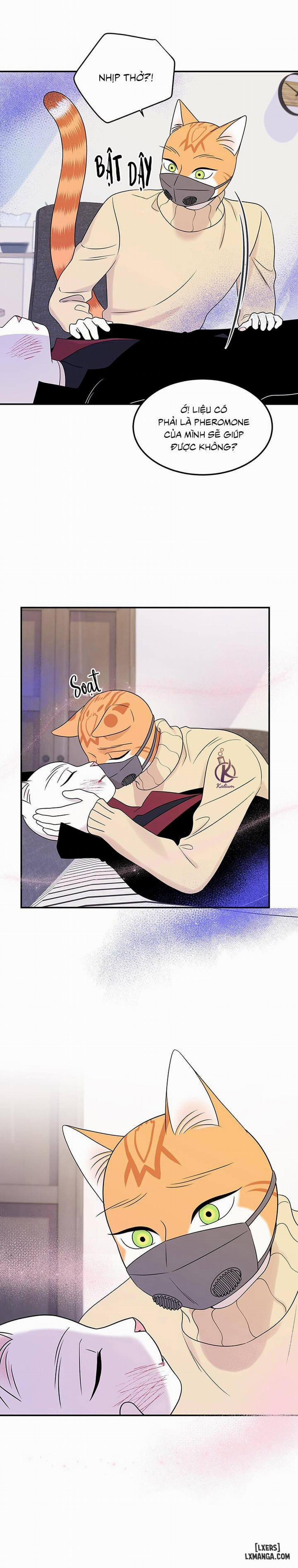 Dự án xanh 25 0 Hết phần 1 trang 3