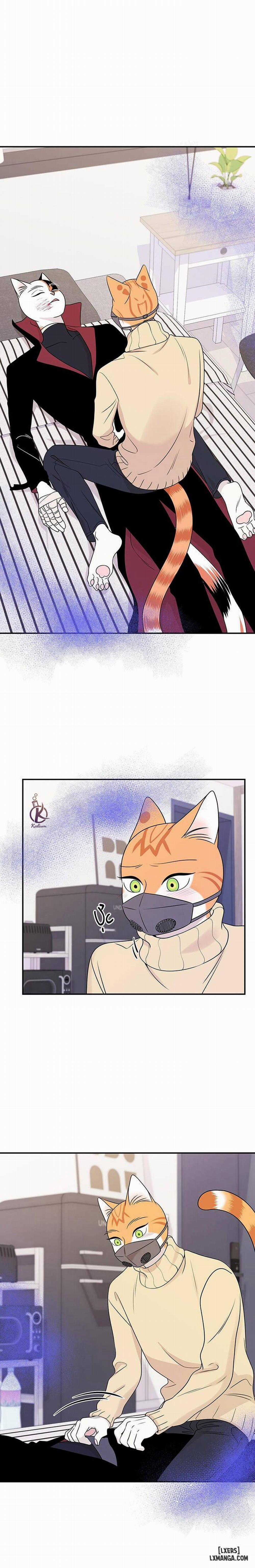 Dự án xanh 25 0 Hết phần 1 trang 5