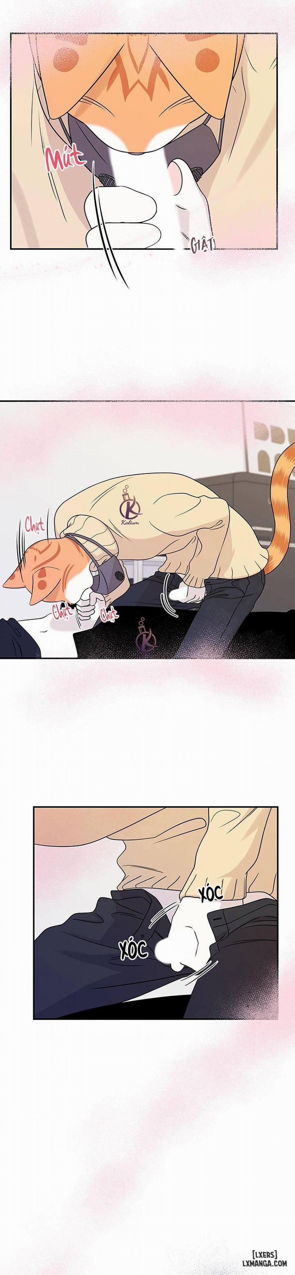 Dự án xanh 25 0 Hết phần 1 trang 7