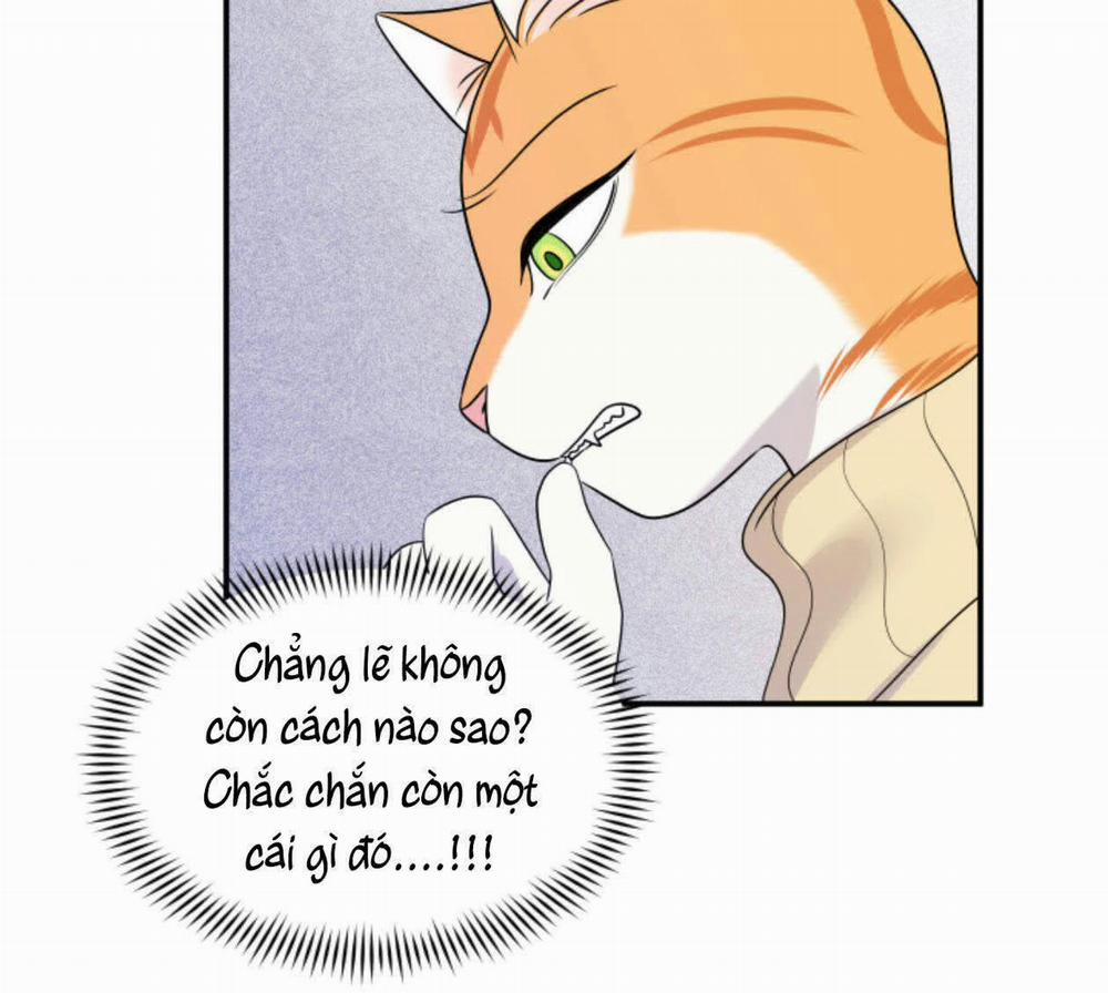 Dự án xanh 25 trang 111