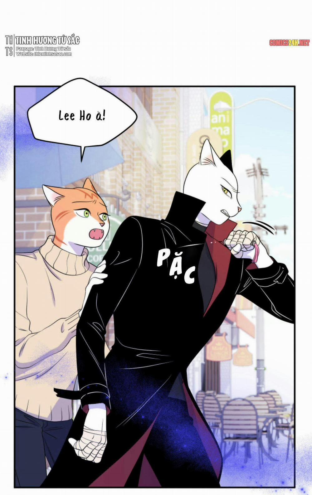 Dự án xanh 25 trang 16