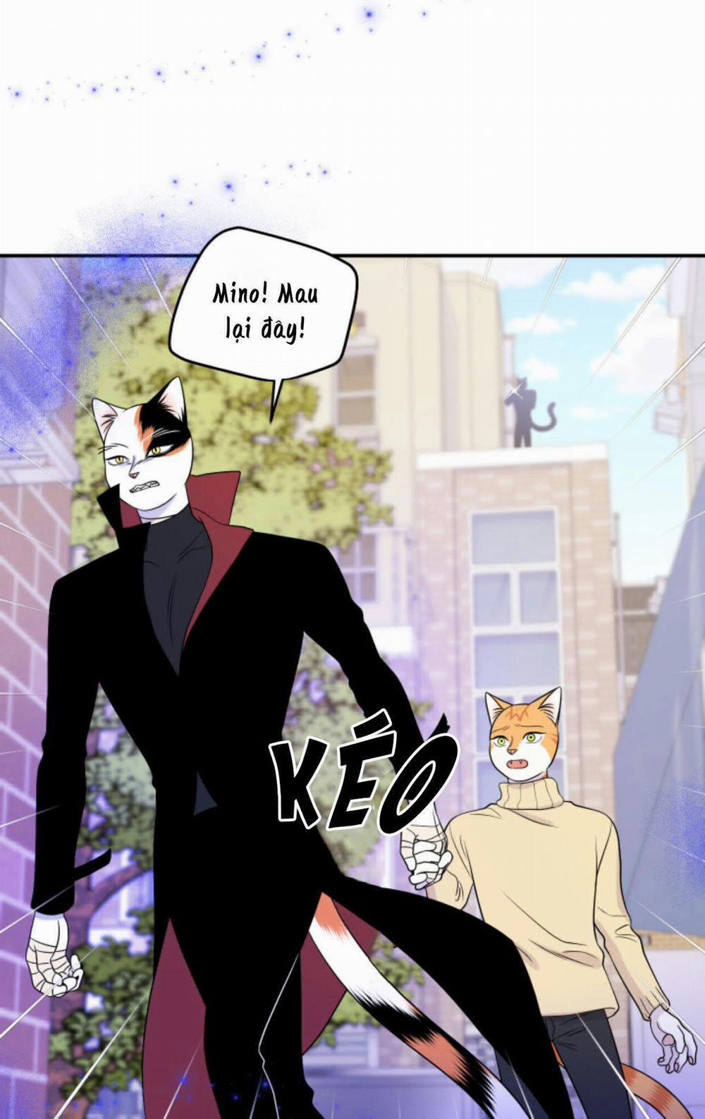 Dự án xanh 25 trang 18