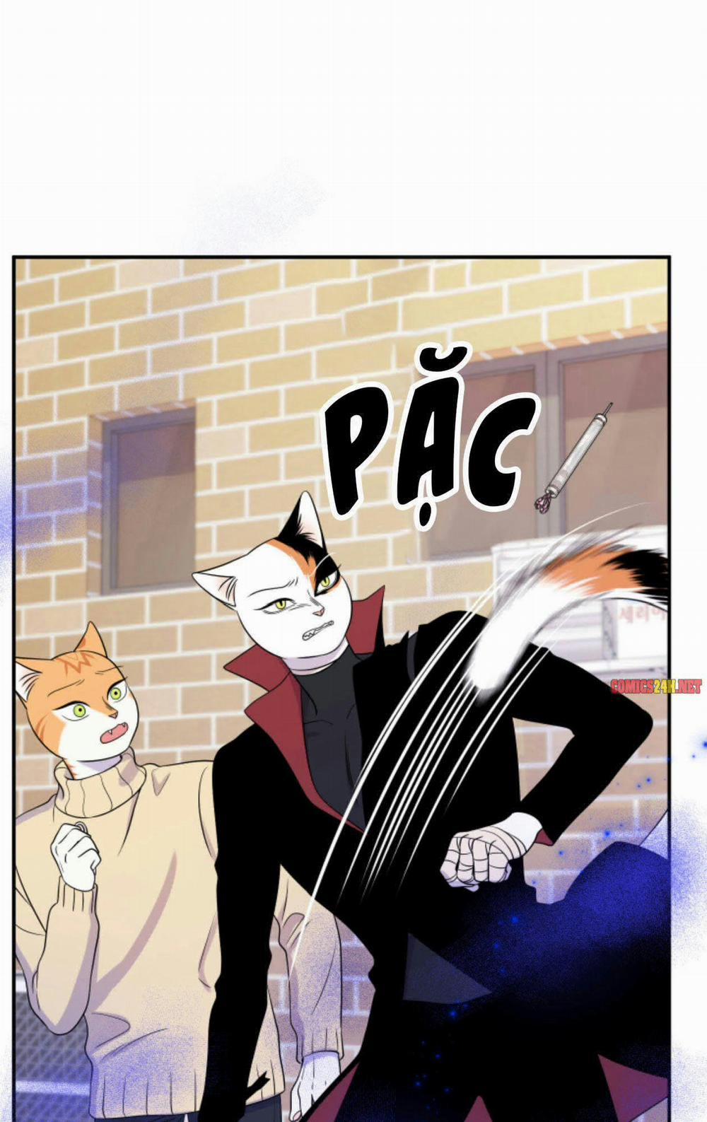 Dự án xanh 25 trang 24