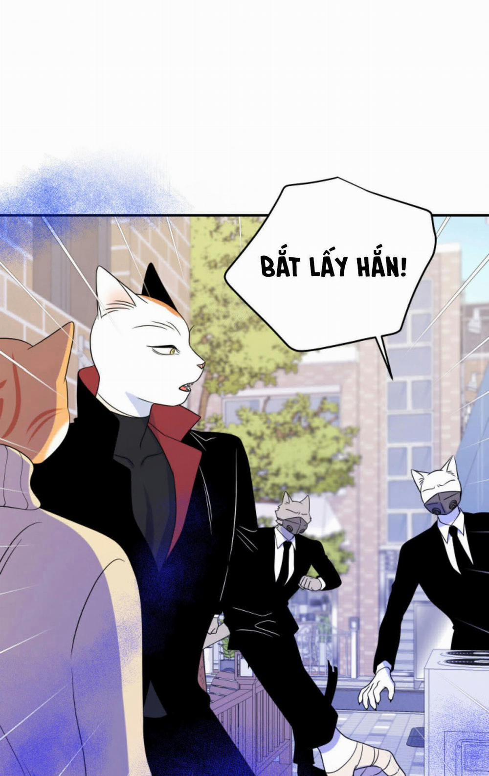 Dự án xanh 25 trang 31