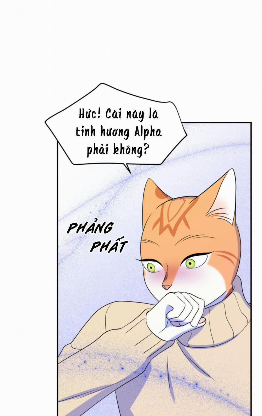 Dự án xanh 25 trang 47