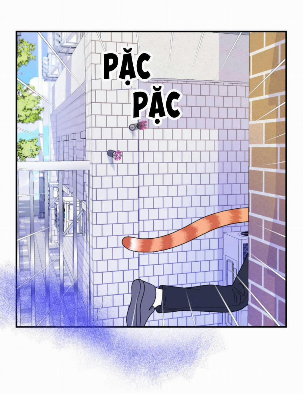 Dự án xanh 25 trang 54