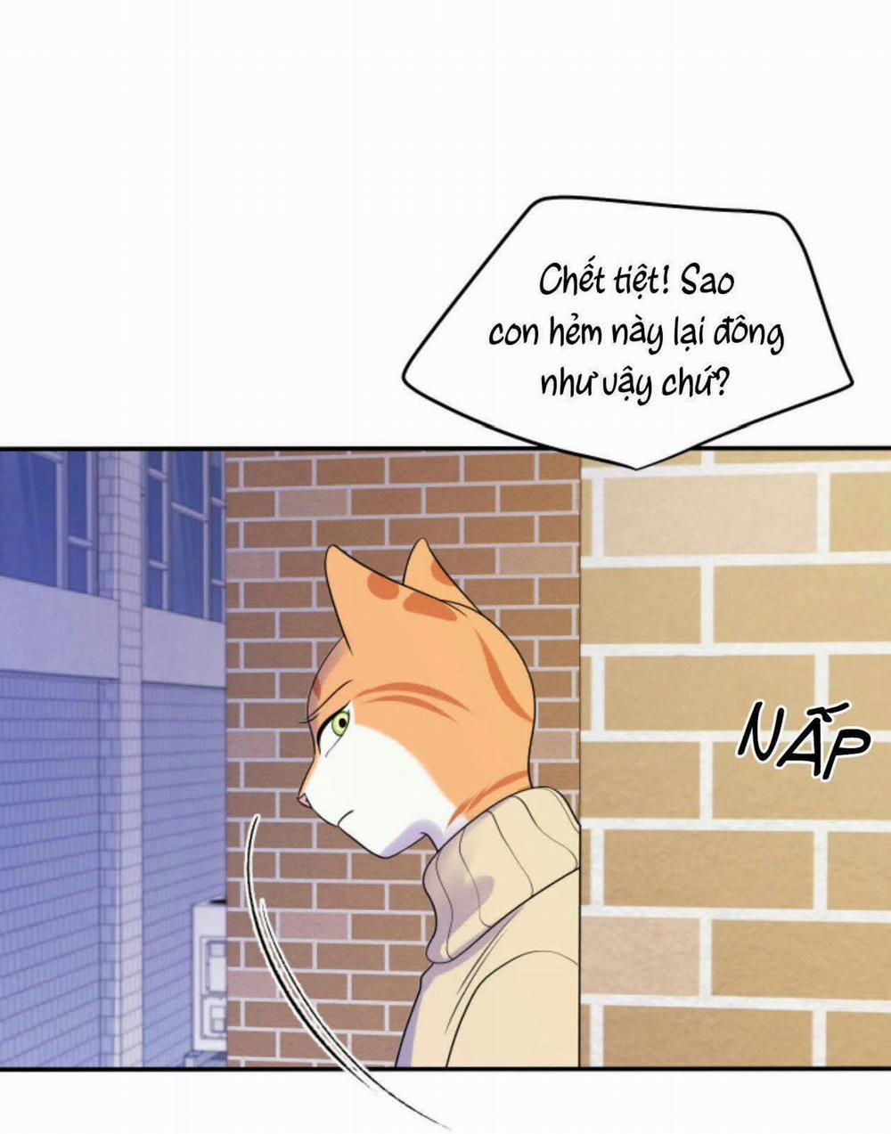 Dự án xanh 25 trang 87