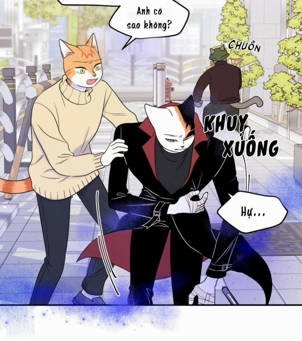 Dự án xanh 25 trang 9