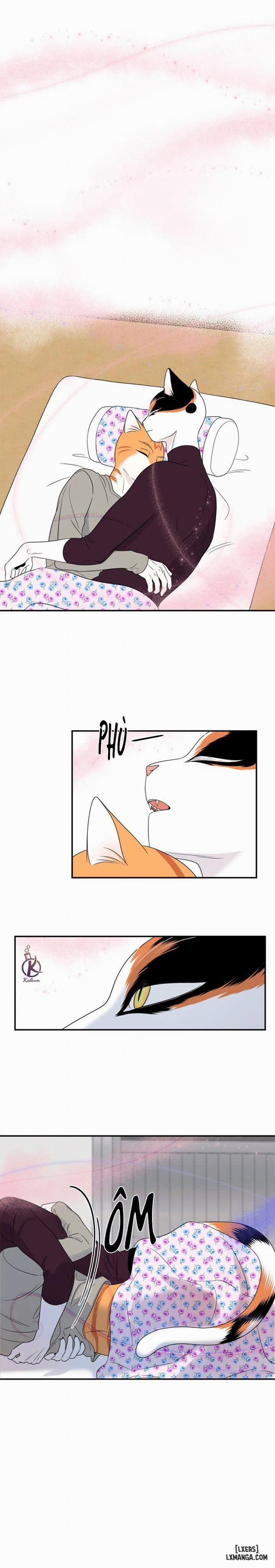 Dự án xanh 26 trang 13