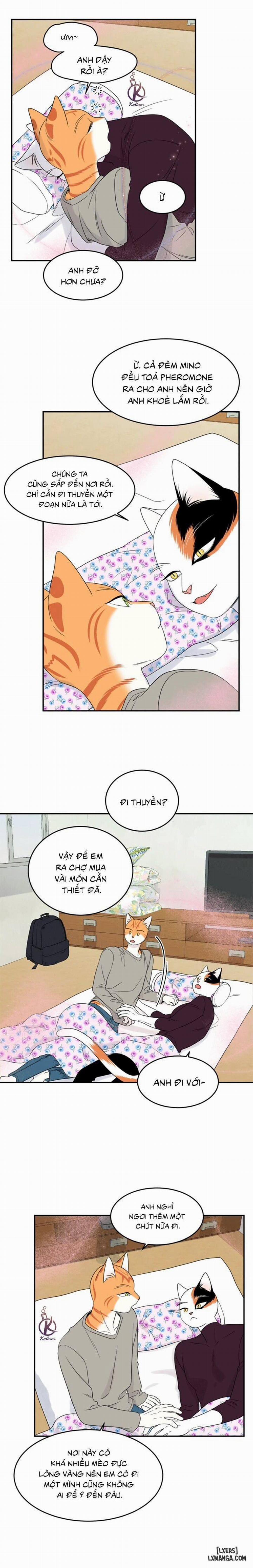 Dự án xanh 26 trang 14