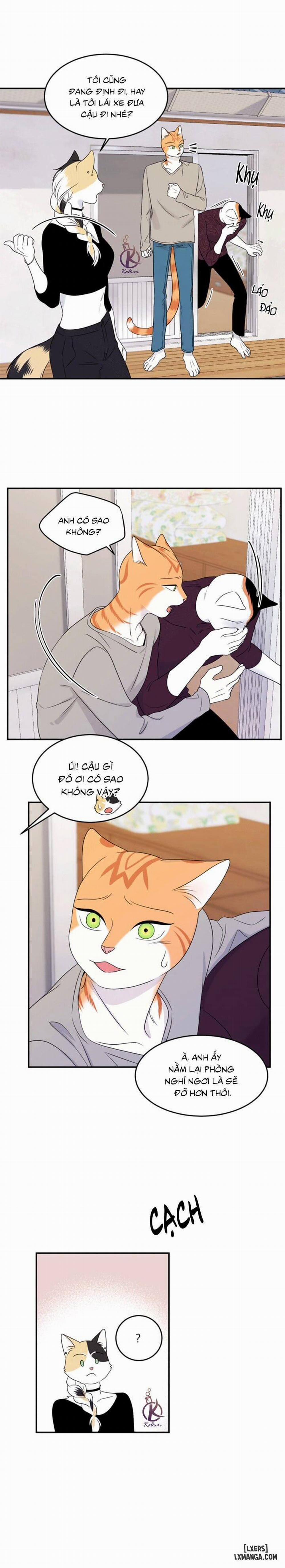 Dự án xanh 26 trang 16