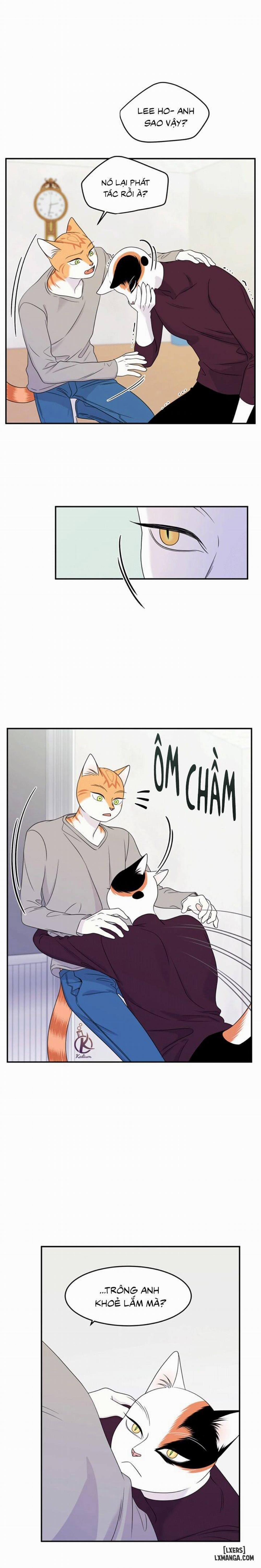 Dự án xanh 26 trang 17